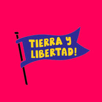 Liberate Voto Latino GIF by #GoVote