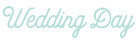 Wedding Pvp Sticker by Paige Vaughn Photo
