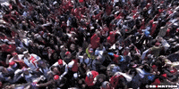 toronto GIF by SB Nation