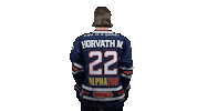 Ice Hockey Sticker by Fehervar AV19