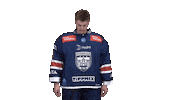 Hockey Horvath Sticker by Fehervar AV19