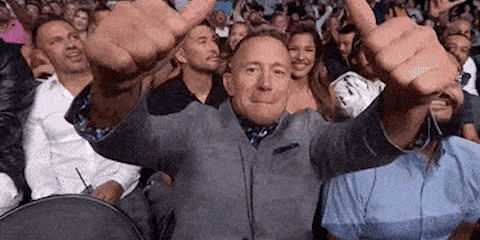 georgesrushstpierre giphyupload nice ufc perfect GIF