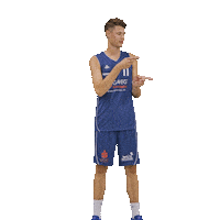 Bensheim Sticker by VfL Basketball
