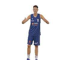 Bensheim Sticker by VfL Basketball