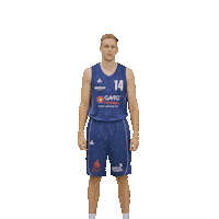 Bensheim Sticker by VfL Basketball