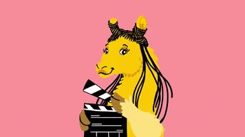 phlywheel bts action behind the scenes llama GIF