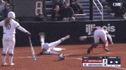 High Five Softball GIF by Northwestern Athletics