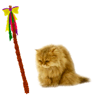 mmb monetakocour Sticker by MonetaMoneyBank