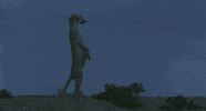 landscape lightning GIF by Head Like an Orange