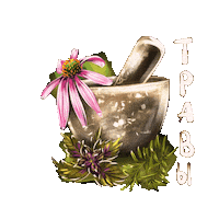 Phyto Phytonutrients Sticker