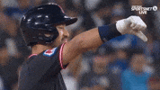 Baseball Thumbs Down GIF by MLB
