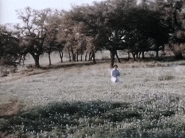 Lady Bird Flowers GIF by US National Archives