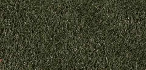 Womens Lacrosse GIF by Lafayette Leopards