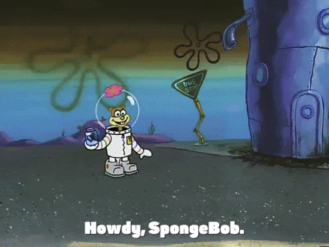 season 2 GIF by SpongeBob SquarePants