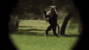 GIF by Drunk History