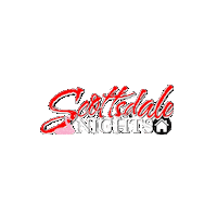 House Mansion Sticker by Scottsdale Nights