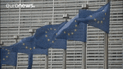 European Union Flag GIF by euronews