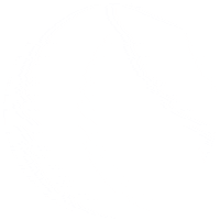 London Travel Sticker by SKYexpress