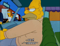 homer simpson GIF