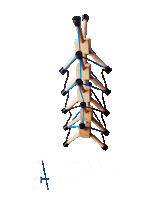 artefactpro pro fisioterapia tension physio Sticker