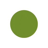 Horse Riding GIF by allyourhorses