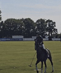 Horse Polo GIF by cam/b ® – the photo brothers