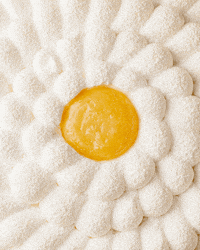 GIF by Cedric Grolet