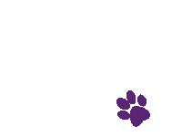 Paw Vet Sticker by Vetkom