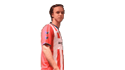 Yourdreamsarenow Theclassof2019 Sticker by De Kaascoman