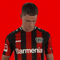 Proud Logo GIF by Bayer 04 Leverkusen
