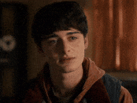 Will Stranger Things GIF