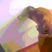 dog someone GIF