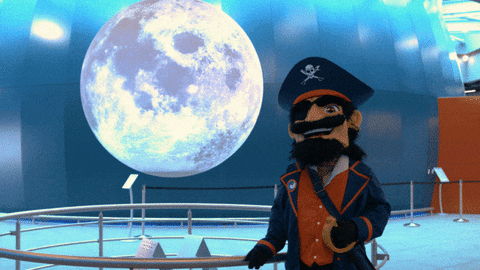 orangecoastcollege giphyupload yes no omg GIF
