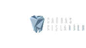 cagdaskislaoglutr cagdas kislaoglu çağdaş kışlaoğlu cagdaskislaolgu Sticker
