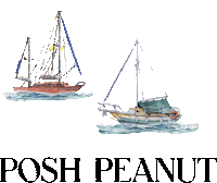 Boat Skip Sticker by Posh Peanut