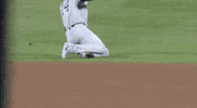 New York Yankees Baseball GIF by Jomboy Media