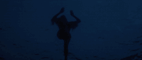 classic movies shark GIF by Coolidge Corner Theatre