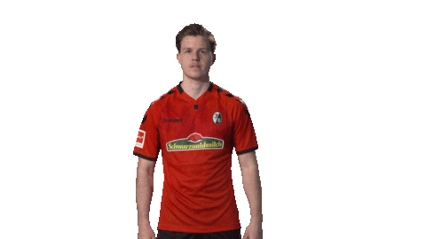 happy sc freiburg Sticker by Bundesliga