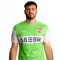 Whats Going On Jako GIF by VfB Stuttgart 1893