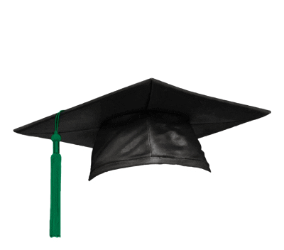 Inseadgrad Sticker by INSEAD Alumni