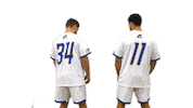Mens Lacrosse Fun Sticker by Delaware Blue Hens