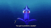 finding nemo GIF