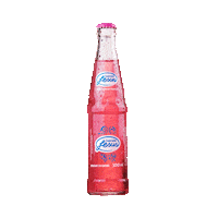 Ks Guarana Sticker by Guaraná Jesus