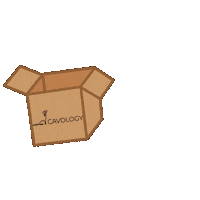 Box Ecommerce Sticker by cavology