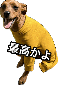 Miniature Pinscher Dog Sticker
