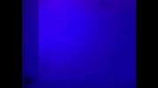 music video blood GIF by Polyvinyl Records