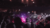 grapetooth GIF by Polyvinyl Records