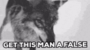 Wolf Twilight GIF