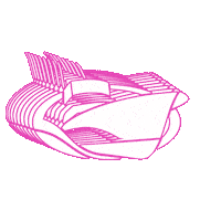 North Carolina Boat Sticker by Jarrett Bay