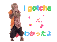Fun Monkey Sticker